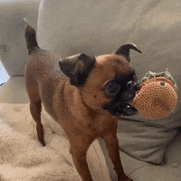 Hungry Brussels Sprout GIF