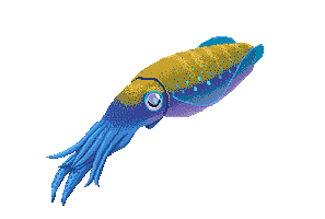 Squid Calamari Sticker