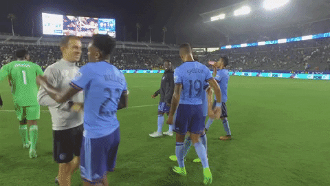 nycfc giphygifmaker GIF