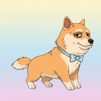 Shiba Inu Love GIF by Doge Pound