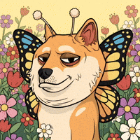 Shiba Inu Dog GIF by Doge Pound