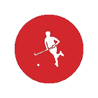BanbridgeHC hockey fieldhockey bhc banbridgehockeyclub Sticker