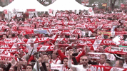 la liga football GIF by Sevilla Fútbol Club