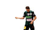 Marius Steinhauser Sport Sticker by DIE RECKEN