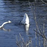 Fun Lol GIF by r&r