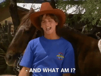 hey dude nicksplat GIF