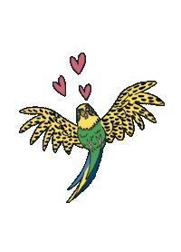 Drawing Bird Sticker