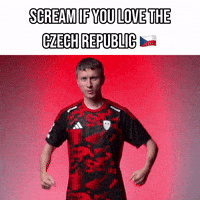 Czech Republic Love GIF by SINNERS Esports