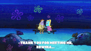 season 9 GIF by SpongeBob SquarePants