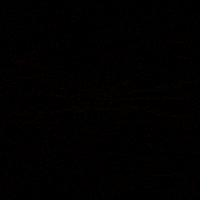 Summer Love GIF by Bobby Hair Studio