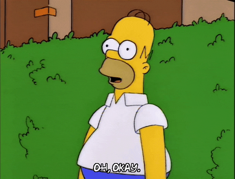 homer simpson GIF