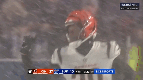 Nfl Playoffs Football GIF by NFL