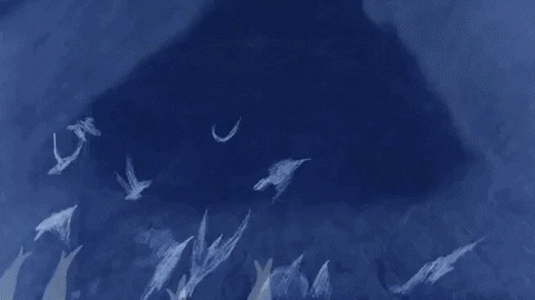 sylvia earle animation GIF