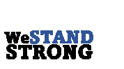 Israel Idf Sticker