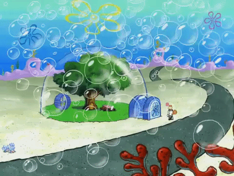 season 7 episode 3 GIF by SpongeBob SquarePants