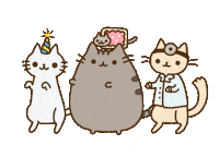 happy cat GIF