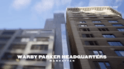 viceland GIF by Hustle