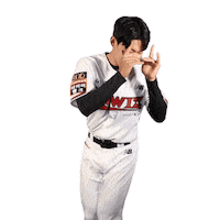 Baseball 케이티 Sticker by kt wiz