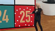 Christmas Surprise GIF