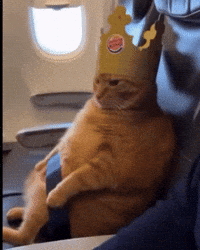 Burger King Ai GIF by Respective