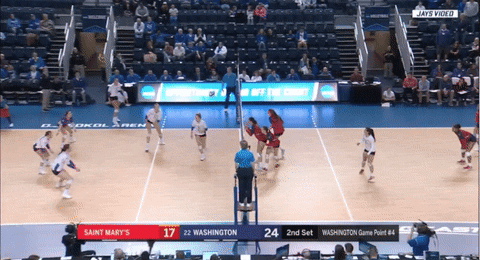 volleyball washington GIF by NCAA Championships