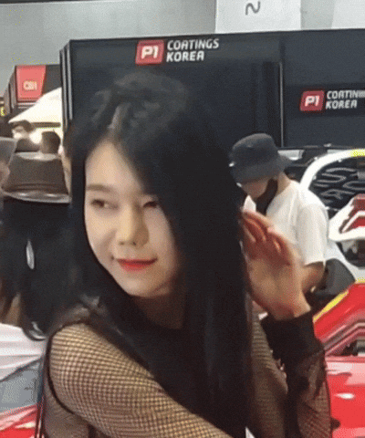 Model GIF