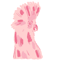 Bird Pet Sticker by Molli Maura