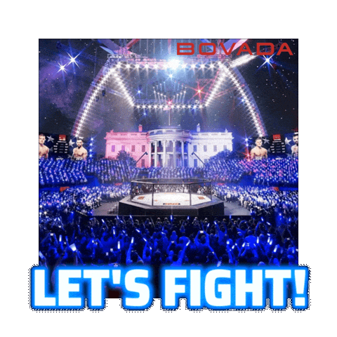 4Th Of July Fight Sticker by Bovada