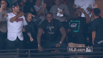 Lebron James Omg GIF by MLB