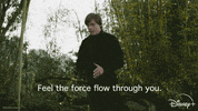 Star Wars Disney Plus GIF by Disney+