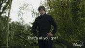 Star Wars Disney Plus GIF by Disney+