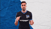 Bundesliga Berlin GIF by Hertha BSC