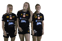 Floorball Salibandy Sticker by F-liiga