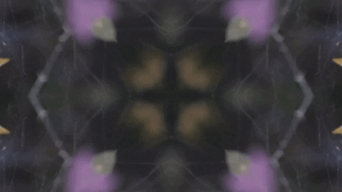 Art Love GIF by jorgemariozuleta