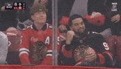 Chicago Blackhawks Nfl GIF