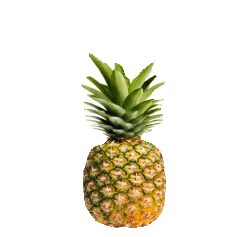 pineapple STICKER by imoji