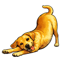 Fun Love Sticker by abana a cauda