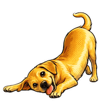 Fun Love Sticker by abana a cauda