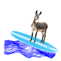 Vote Election Sticker by DLCC