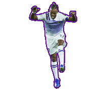 Orlando City Football Sticker by Empower Sports