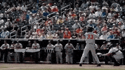 BeaverBaseball baseball ncaa omaha college world series GIF