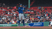 Blue Jays Celebration GIF by Toronto Blue Jays