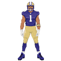College Football Sticker by Panini America