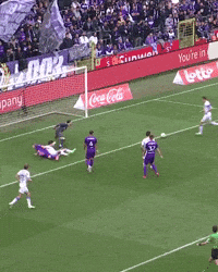 Vanaken GIF by Club Brugge