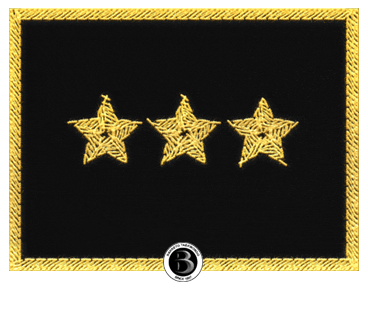 7Dan Sticker by Barreto Taekwondo