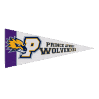 High School Football Sticker by GPB Sports