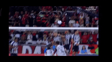 Léo Pereira GIF