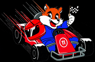 napoleposition racing kart karting napoleposition GIF