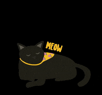 rallandesign cat meow mochi rallan GIF