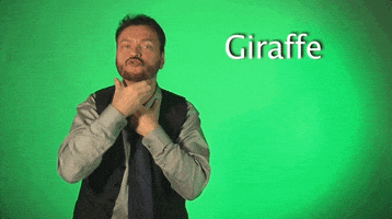sign language giraffe GIF by Sign with Robert
